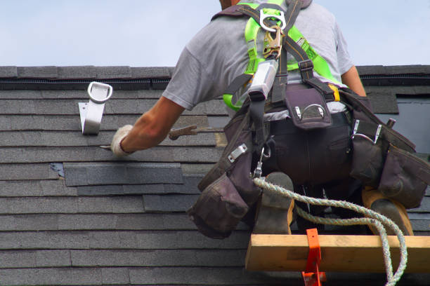 Professional Roofing Contractor in Wyanet, IL
