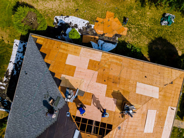 Best Flat Roof Repair Services  in Wyanet, IL