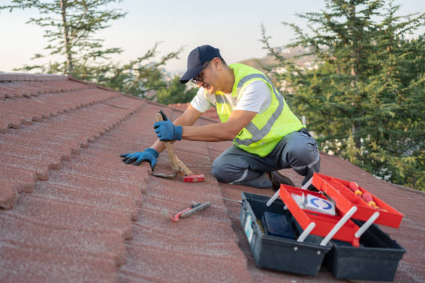 Best Residential Roofing Contractor  in Wyanet, IL