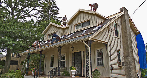 Best Storm Damage Roof Repair  in Wyanet, IL
